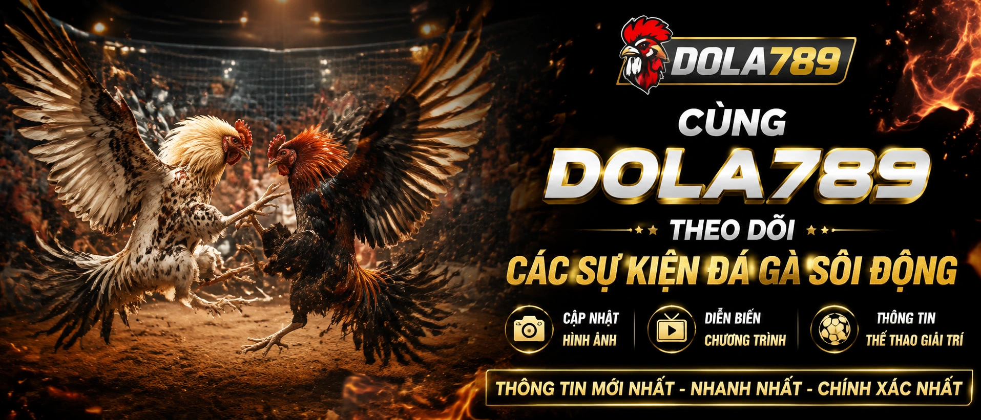 Đá Gà giao diện danh mục trên nền tảng dola789.com.bz